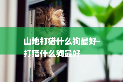 山地打獵什么狗最好-
打獵什么狗最好