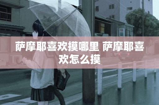 薩摩耶喜歡摸哪里 薩摩耶喜歡怎么摸