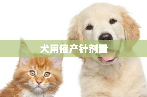 犬用催產針劑量