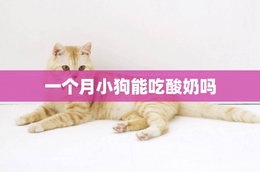 一個月小狗能吃酸奶嗎