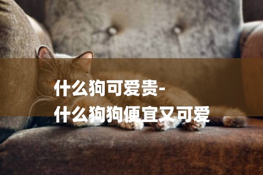 什么狗可愛貴-
什么狗狗便宜又可愛