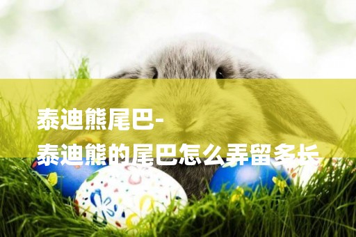 泰迪熊尾巴-
泰迪熊的尾巴怎么弄留多長