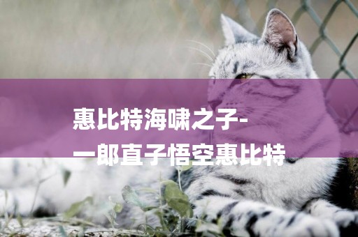 惠比特海嘯之子-
一郎直子悟空惠比特