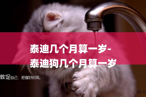 泰迪幾個月算一歲-
泰迪狗幾個月算一歲