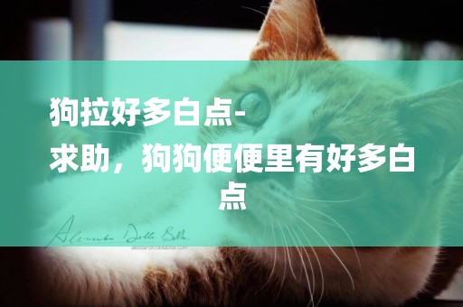 狗拉好多白點-
求助，狗狗便便里有好多白點