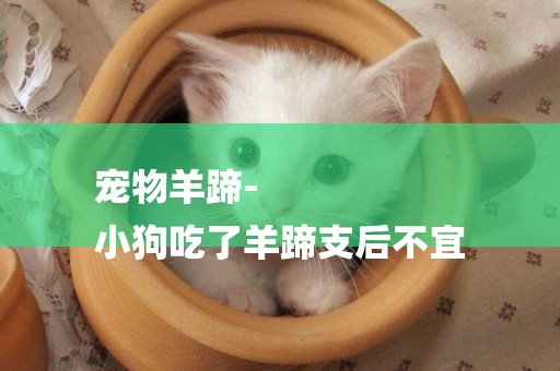 寵物羊蹄-
小狗吃了羊蹄支后不宜
