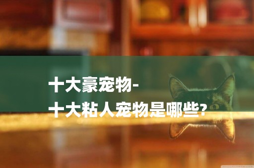 十大豪寵物-
十大粘人寵物是哪些?