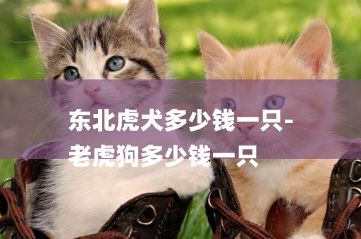 東北虎犬多少錢一只-
老虎狗多少錢一只