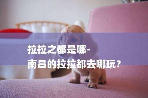 拉拉之都是哪-
南昌的拉拉都去哪玩？