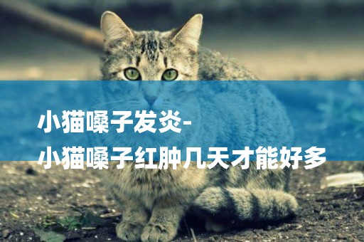 小貓嗓子發炎-
小貓嗓子紅腫幾天才能好多