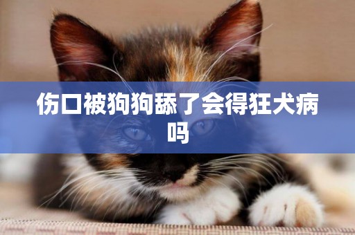 傷口被狗狗舔了會得狂犬病嗎