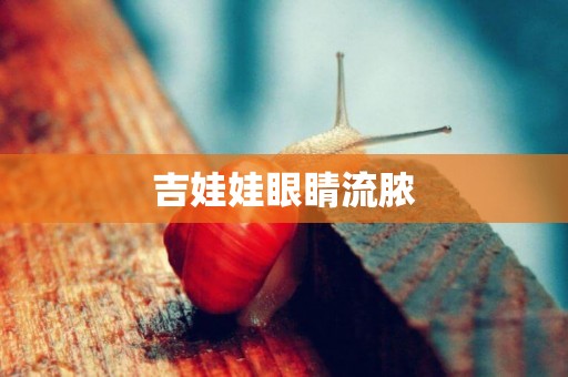 吉娃娃眼睛流膿