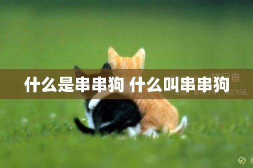 什么是串串狗 什么叫串串狗