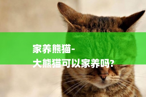 家養熊貓-
大熊貓可以家養嗎?