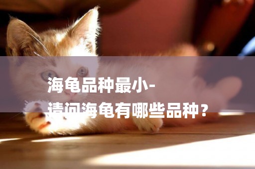 海龜品種最小-
請問海龜有哪些品種？