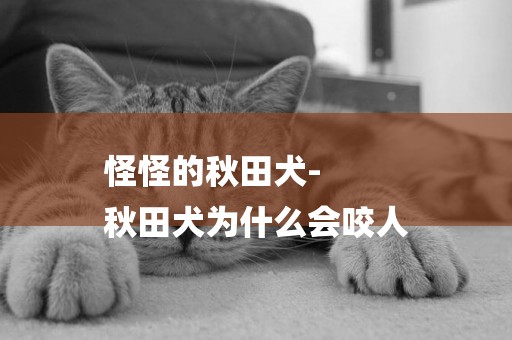 怪怪的秋田犬-
秋田犬為什么會咬人