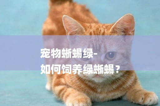 寵物蜥蜴綠-
如何飼養綠蜥蜴？