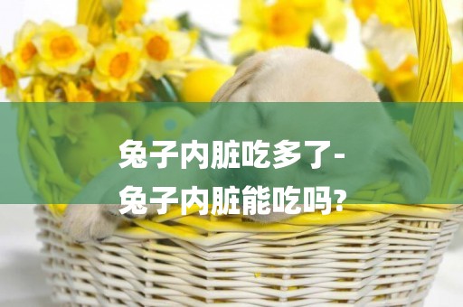 兔子內臟吃多了-
兔子內臟能吃嗎?