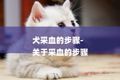 犬采血的步驟-
關于采血的步驟