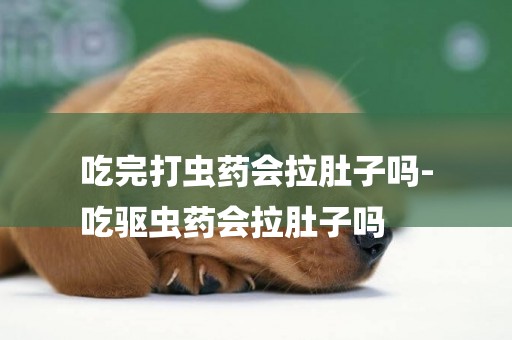 吃完打蟲藥會拉肚子嗎-
吃驅蟲藥會拉肚子嗎