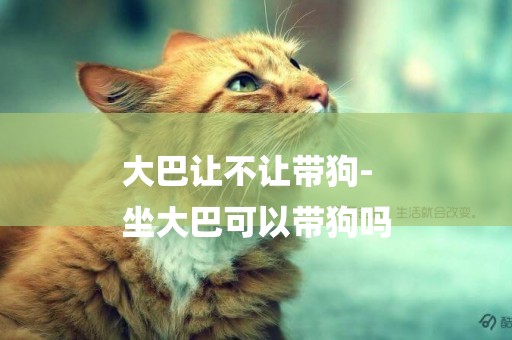 大巴讓不讓帶狗-
坐大巴可以帶狗嗎