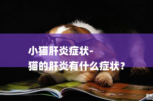 小貓肝炎癥狀-
貓的肝炎有什么癥狀？