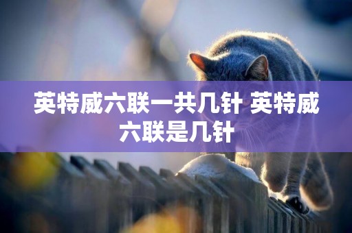 英特威六聯一共幾針 英特威六聯是幾針