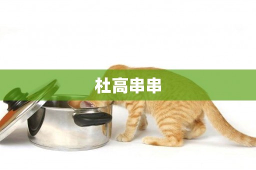 杜高串串
