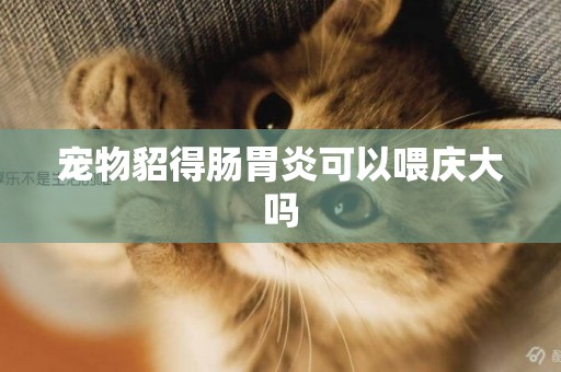 寵物貂得腸胃炎可以喂慶大嗎