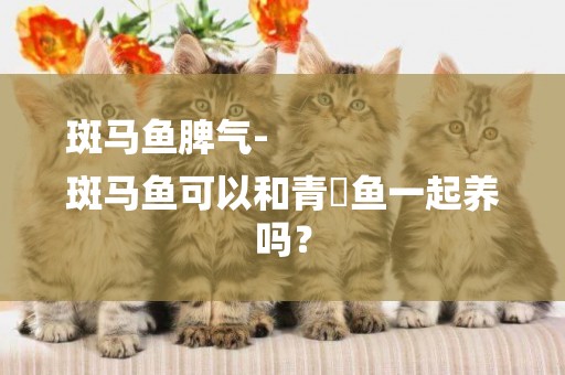 斑馬魚脾氣-
斑馬魚可以和青鳉魚一起養嗎？
