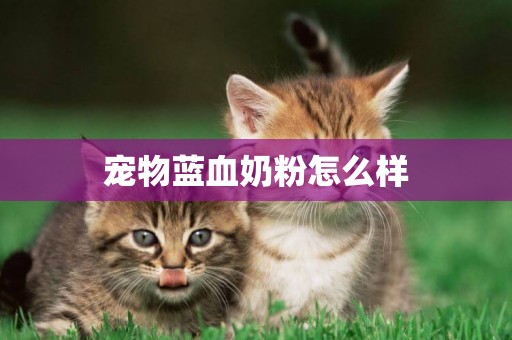 寵物藍血奶粉怎么樣