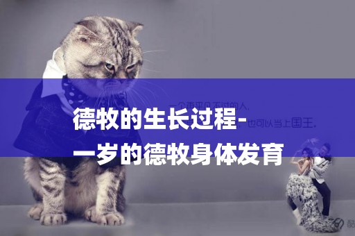 德牧的生長過程-
一歲的德牧身體發育