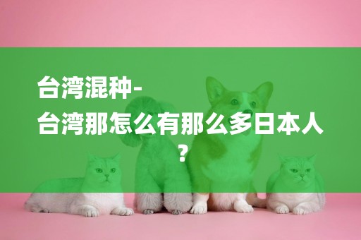 臺灣混種-
臺灣那怎么有那么多日本人？