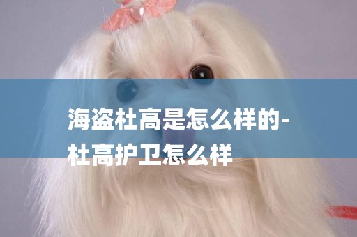 海盜杜高是怎么樣的-
杜高護衛怎么樣