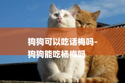 狗狗可以吃話梅嗎-
狗狗能吃楊梅嗎