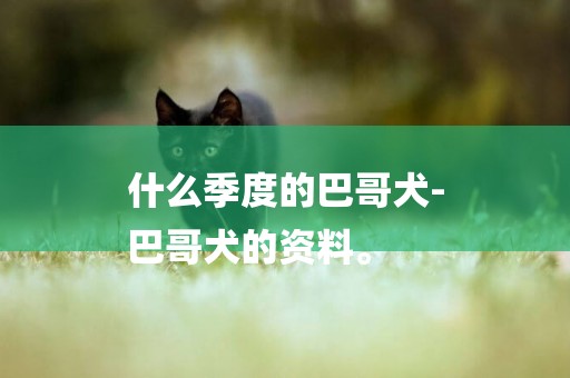 什么季度的巴哥犬-
巴哥犬的資料。