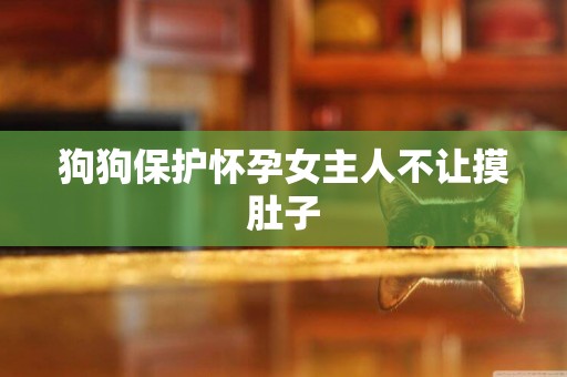 狗狗保護懷孕女主人不讓摸肚子