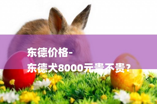 東德價格-
東德犬8000元貴不貴？