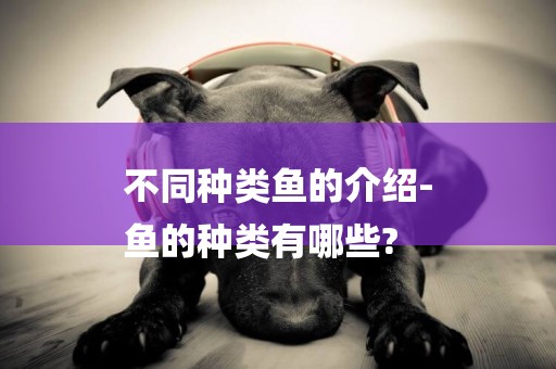 不同種類魚的介紹-
魚的種類有哪些?