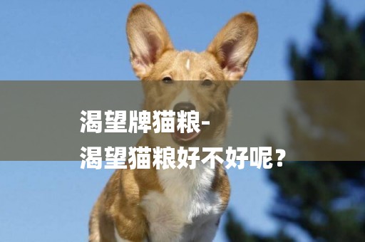 渴望牌貓糧-
渴望貓糧好不好呢？