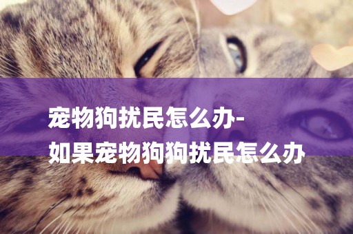 寵物狗擾民怎么辦-
如果寵物狗狗擾民怎么辦