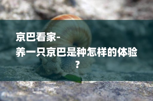 京巴看家-
養一只京巴是種怎樣的體驗？