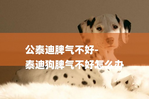公泰迪脾氣不好-
泰迪狗脾氣不好怎么辦