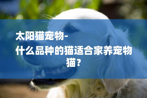 太陽貓寵物-
什么品種的貓適合家養寵物貓？