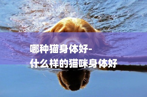 哪種貓身體好-
什么樣的貓咪身體好