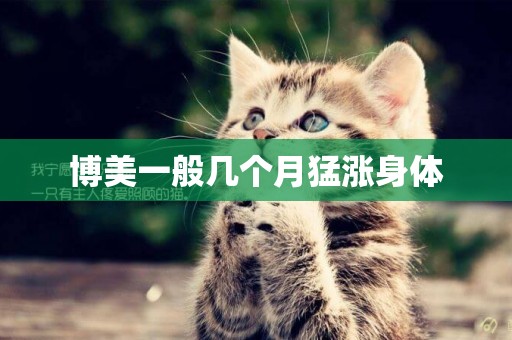 博美一般幾個月猛漲身體