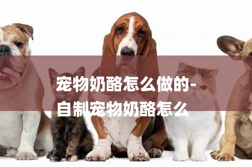 寵物奶酪怎么做的-
自制寵物奶酪怎么