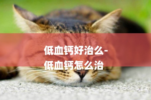 低血鈣好治么-
低血鈣怎么治
