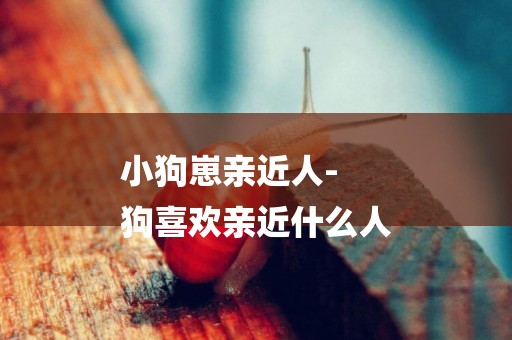 小狗崽親近人-
狗喜歡親近什么人