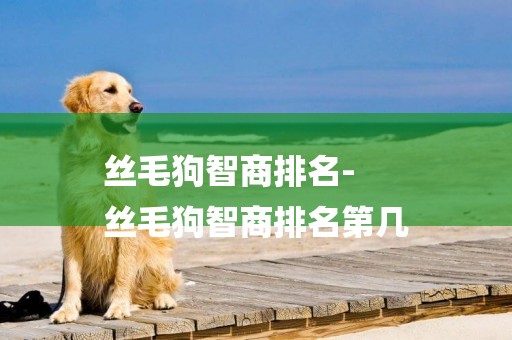 絲毛狗智商排名-
絲毛狗智商排名第幾